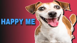 5 Sound That Make Dogs Happy  HAPPY ME [upl. by Styles251]