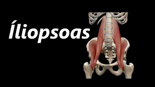 Anatomia do Íliopsoas em 3D [upl. by Nivel]