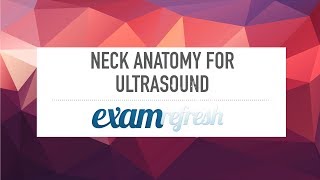 Neck Anatomy for Ultrasound ARDMS Abdomen [upl. by Joselow]