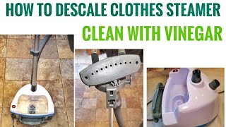 How to Descale Clean Clothes Steamer Using Vinegar [upl. by Tish151]