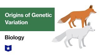 Origins of Genetic Variation  Biology [upl. by Nicholl508]