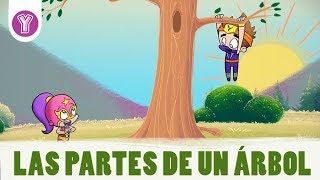 ¿Qué conforma a un árbol  Smartkids [upl. by Javier]