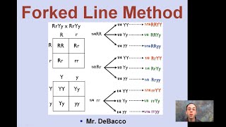 Forked Line Method [upl. by Kuth797]