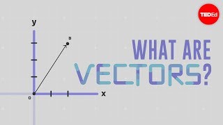 What is a vector  David Huynh [upl. by Vaclav]