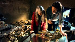 Uncover Life in Pompeii  Nat Geo Kids Archaeology Playlist [upl. by Demp]