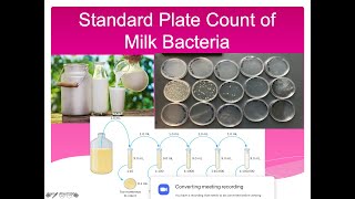 Standard Plate Count of Milk Bacteria Lab [upl. by Noiro]