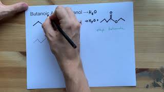 Butanoic Acid  Ethanol  Ester Reaction with Mechanism [upl. by Annaik]