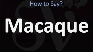 How to Pronounce Macaque CORRECTLY [upl. by Soutor]