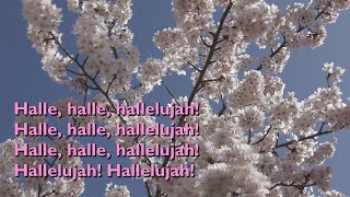 Halle Halle Hallelujah with lyrics for congregations [upl. by Wilfreda]