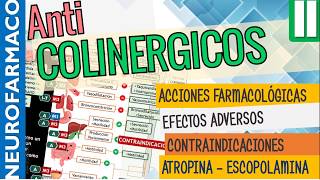 Antimuscarínicos EFECTOS SISTÉMICOS ACCIÓN FARMACOLÓGICA Naturales ATROPINA ESCOPOLAMINA Parte2 [upl. by Huoh]