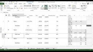 Updating Project Progress with Microsoft Project [upl. by Gnuoy752]