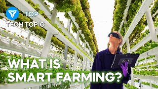 3 Innovative Smart Farming Vertical Farming  Future of Farming ▶ 1 [upl. by Shandy]