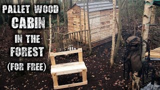 Recycled Pallet Wood Cabin Build An Off Grid Wilderness Project [upl. by Eronel356]