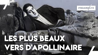 Les 6 plus beaux vers dApollinaire et dautres choses [upl. by Cogen]