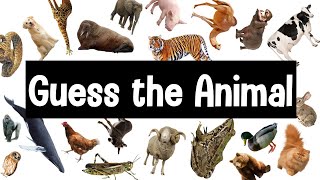 Guess the Animal Sound Game  30 Animal Sounds Quiz  Wildlife Trivia [upl. by Ellac638]