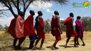 Maasai Warriors dancing and jumping  Kenya [upl. by Junius]