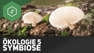 Symbiose – Ökologie 5 [upl. by Gnivre170]