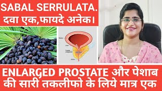 Sabal serrulata homeopathic medicine।Urine infection। [upl. by Htieh]