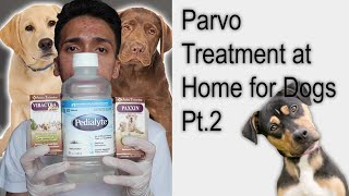 Parvo Treatment at Home for Dogs  Puppies with Parvovirus Pt2 [upl. by Oiracam]