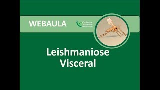 Webaula  Leishmaniose Visceral [upl. by Warenne]