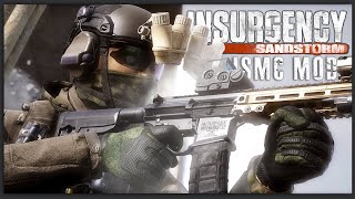 This Insurgency Sandstorm mod is a GAME CHANGER ISMC [upl. by Dinse264]