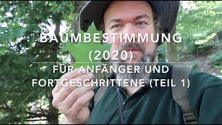 Baumbestimmungskurs 2020 Teil 1 [upl. by Gio]