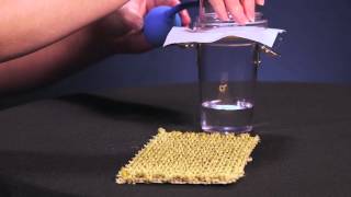 DuPont™ Tyvek® Breathability Demonstration [upl. by Russi]