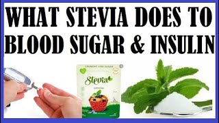 What Stevia Does To Your Blood Sugar amp Insulin [upl. by Muhammad]