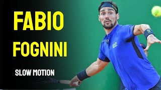 Fabio Fognini Slow Motion  Cincinnati Masters 2014 [upl. by Ykcin]