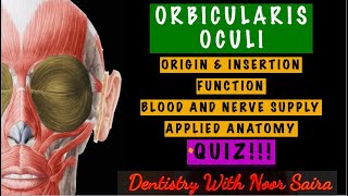 ORBICULARIS OCULI SIMPLIFIEDORIGIN INSERTION FUNCTION INNERVATION APPLIED ANATOMY [upl. by Callan985]