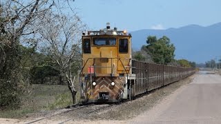 Sugar Cane Trains Australia Trains of the Burdekin Mills [upl. by Yllitnahc]