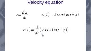 SHM Velocity and Acceleration Equations [upl. by Crowley917]