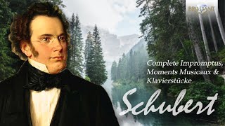 Schubert Complete Impromptus Moments Musicaux amp Klavierstücke [upl. by Aihtela]