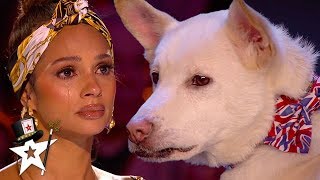 Judges Cry Over Emotional Dog Magic Act on Britains Got Talent 2020  Magicians Got Talent [upl. by Anisamot]