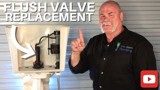 How To Replace A Toilet Flush Valve  DIY Plumbing [upl. by Akcimahs]