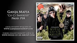 06 Ganja Mafia  Co Ci Śmierdzi prod PSR [upl. by Oznol]