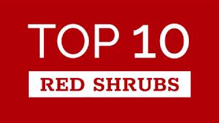 Top Ten Red Shrubs [upl. by See347]