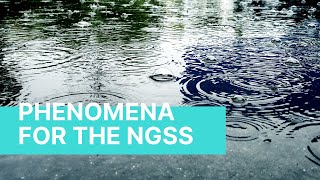 Science Phenomena For Your NGSS Storylines [upl. by Landrum]