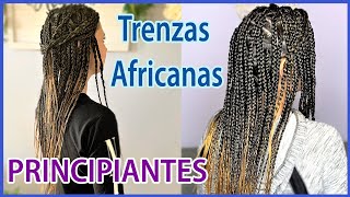 TRENZAS AFRICANAS CON EXTENSIONES  Principiantes [upl. by Iams]