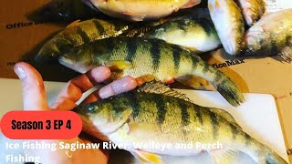 Saginaw River Ice Fishing Walleye and Perch Ice Fishing S3 EP4 [upl. by Hamehseer]