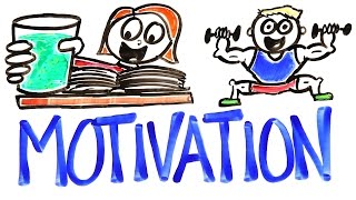 The Science Of Motivation [upl. by Neelik]