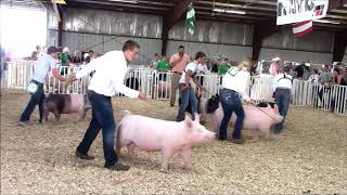 4H Swine Showmanship [upl. by Cherilynn617]