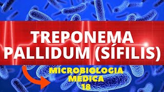 TREPONEMA PALLIDUM SÍFILIS  MICROBIOLOGIA MÉDICA  AULA 18 [upl. by Terrena469]