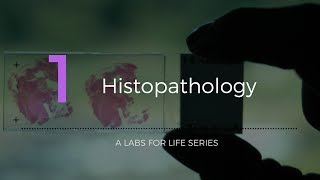 Histopathology [upl. by Volotta]