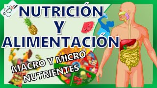 CONCEPTOS BÁSICOS DE NUTRICIÓN Y ALIMENTACIÓN  GuiaMed [upl. by Orva701]