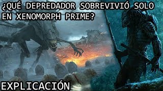 ¿Qué Depredador Sobrevivió solo en Xenomorph Prime EXPLICACIÓN  El Depredador Hive Wars EXPLICADO [upl. by Nezam]