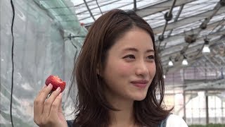 Satomi Ishihara 石原さとみ  Find my Tokyo Challenge 1543 [upl. by Kirkwood]