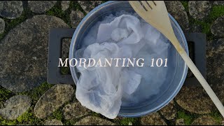 HOW to MORDANT a CELLULOSE FABRIC  Natural dyeing at home  Botanical colours [upl. by Fital]