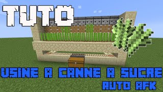 TUTO Usine à Canne à Sucre 100 automatique Facile  115  116 Minecraft [upl. by Aynat50]