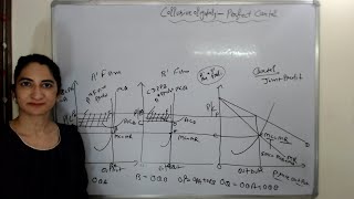 Collusive Oligopoly  Perfect Cartel [upl. by Dviad732]